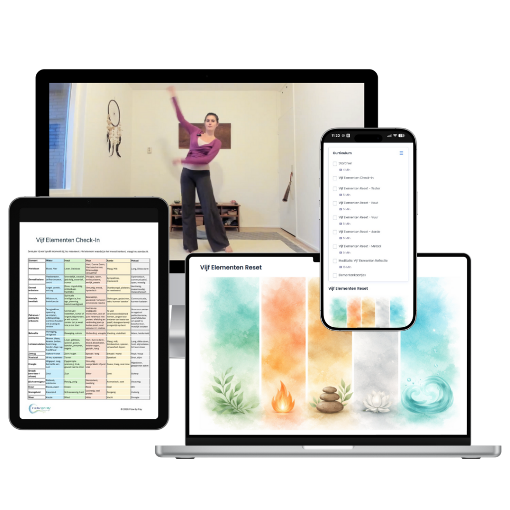 Vijf Elementen Reset